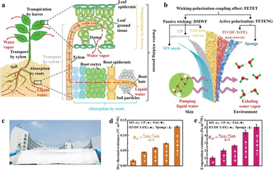 AFMG 高性能纖維及復合材料制造 引領材料科技的未來